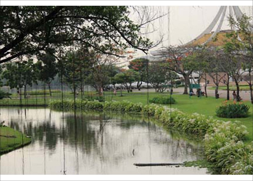 ธรรมชาติใกล้ตัวคนเมือง (วาสนา)